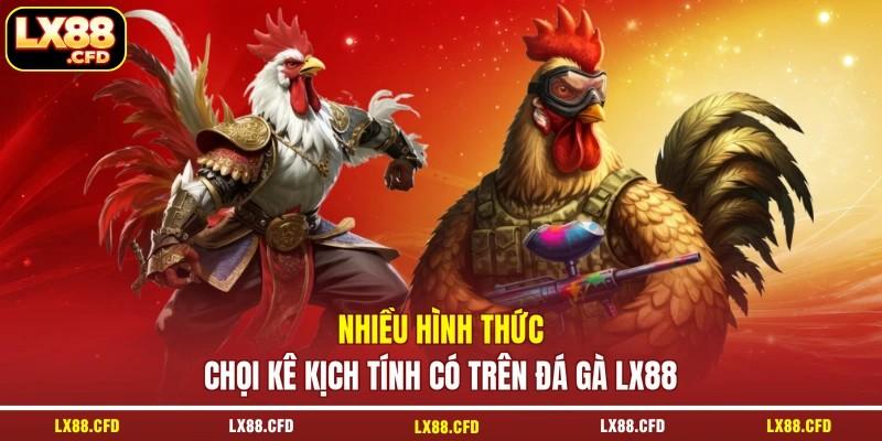 Nhiều hình thức chọi kê kịch tính có trên đá gà LX88